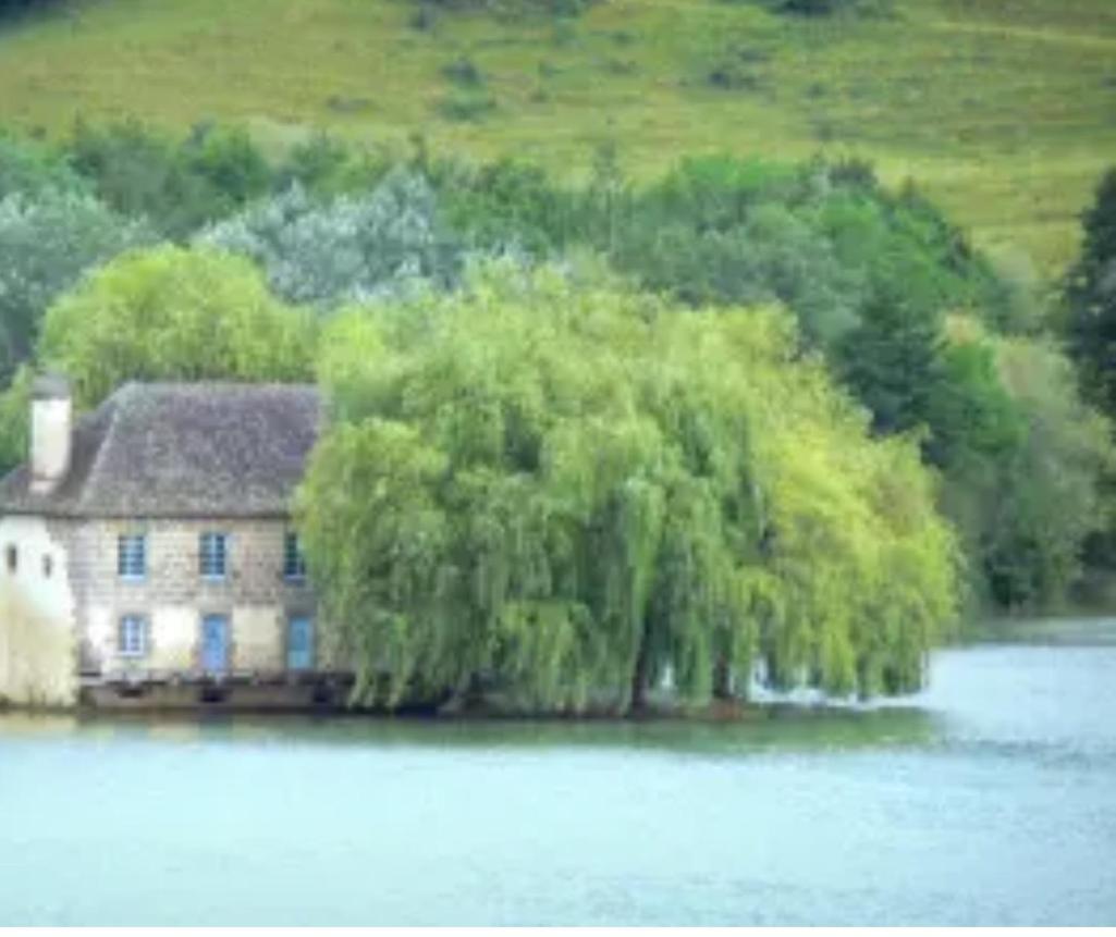 En Toute Quietude Lissac-sur-Couze Eksteriør bilde